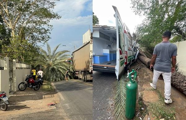 Palmeira à margem da BR-343 cai em cima de ambulância e deixa feridos em Campo Maior(Imagem:Redes sociais)