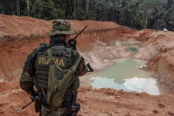 Seleção para o Ibama vai preencher oportunidades para Analista Administrativo e Analista Ambiental.(Imagem:Divulgação/Ibama)