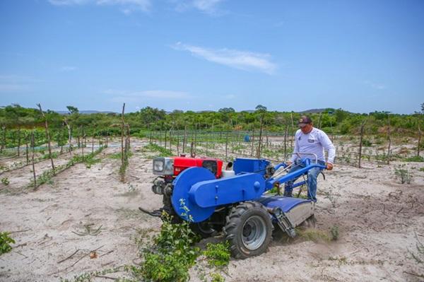 Agropecuária do Piauí registra maior crescimento de empregos formais nos últimos anos, aponta estudo da Cepro(Imagem:Reprodução)