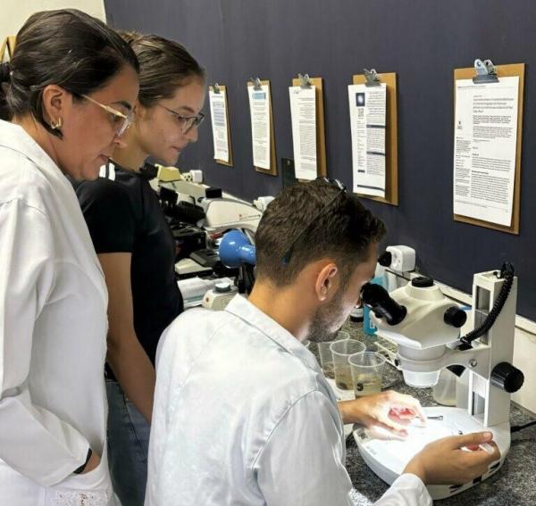 Universidades Estaduais do Piauí e do Ceará firmam parceria acadêmica na área da Zoologia O objetivo foi oficializar a primeira coleção didática zoológica do campus de Teresina.(Imagem:Divulgação)