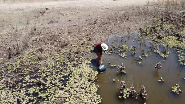 Moradora pega água suja em açude durante forte seca no Piauí.(Imagem:TV Clube)