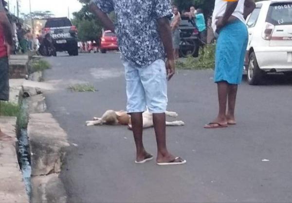 Cachorros foram mortos a tiros em Teresina; vizinhos acusam policiais de ação abusiva(Imagem:Arquivo pessoal)