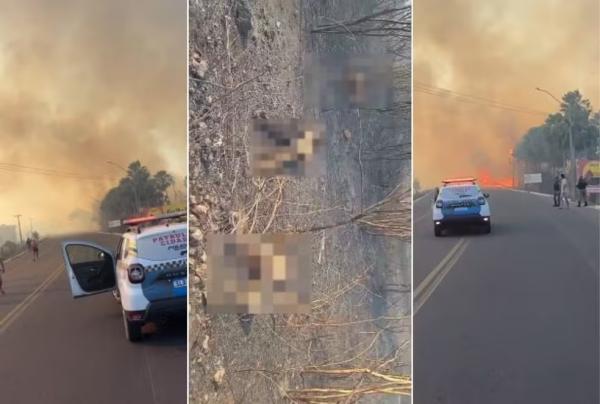 Quatro pessoas da mesma família morrem queimadas em grande incêndio em Canto do Buriti, no Piauí.(Imagem:Reprodução)