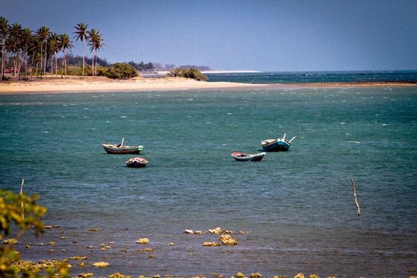 Cajueiro da Praia(Imagem:Thiago Amaral)