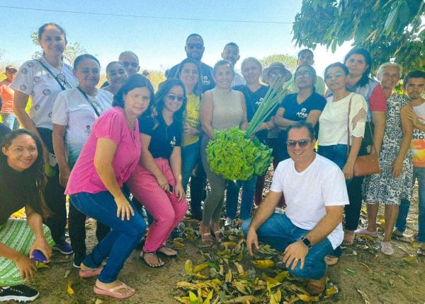 Formas, cores, cheiros e sabores: Sesc Mes.a Brasil promove palestra sobre horta sustentável(Imagem:Divulgação)