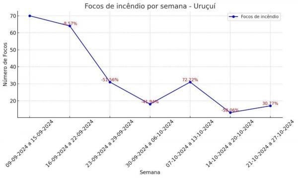 Semarh aponta diminuição de 47% dos incêndios florestais no mês de setembro em comparação a 2023.(Imagem:Divulgação)