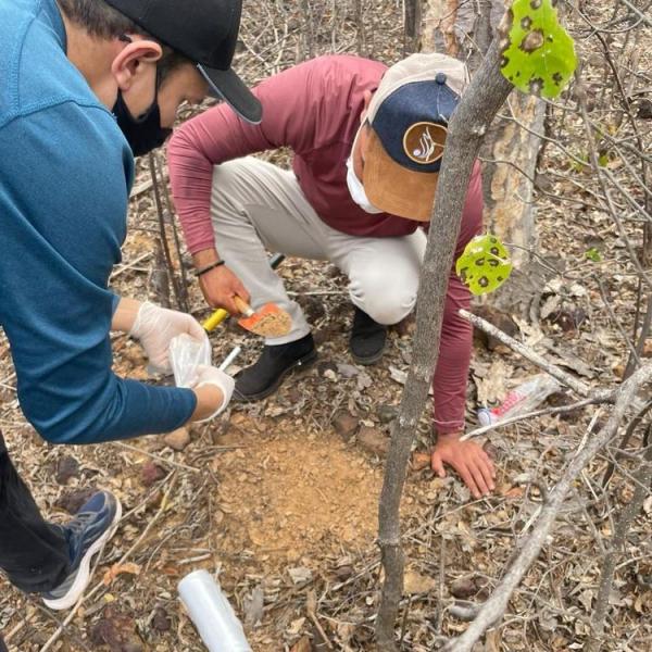 Atividade de coleta e recuperação de solo em Santo Antônio Lisboa.(Imagem:Divulgação)