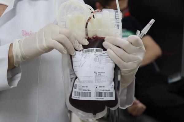 Só em 2024, foram 19.552 bolsas de plasma enviadas, o equivalente a 4.888 litros do hemocomponente.(Imagem:Divulgação)