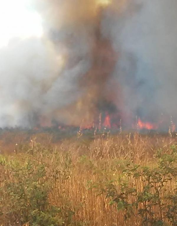 Incêndio atinge vegetação e já dura mais de 8 horas na cidade de Pio IX(Imagem:Divulgação)