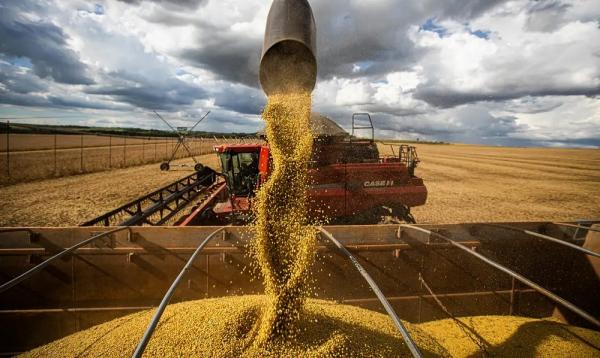 FGV Agro mostra que foi o melhor resultado para o mês desde 2013.(Imagem:CNA/Wenderson Araujo/Trilux)