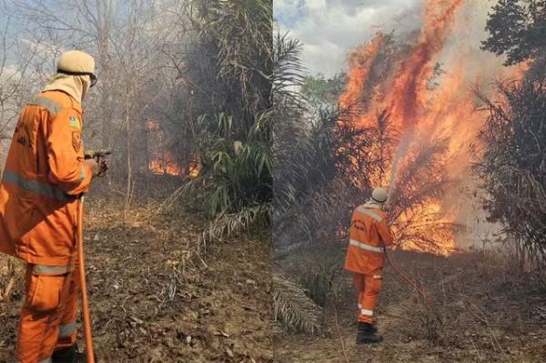 Bombeiros atuam no combate às chamas em Cocal dos Alves, no Norte do Piauí.(Imagem: Divulgação/CBMEPI)