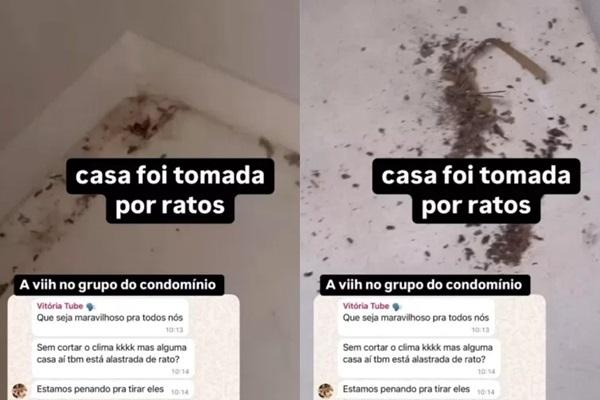 Eliezer mostra relato sobre ratos(Imagem:Reprodução)