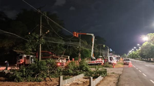 Árvore cai e atinge rede elétrica.(Imagem:Equatorial Piauí)