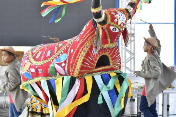 Dia do Folclore brasileiro é comemorado com apresentações culturais em Floriano.(Imagem:Secom)