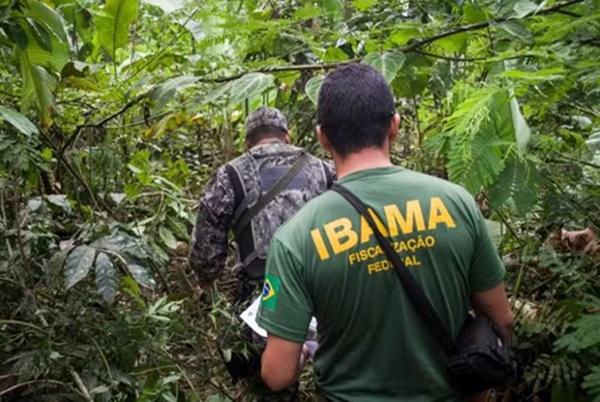 Seleção para o Ibama vai preencher oportunidades para Analista Administrativo e Analista Ambiental.(Imagem:Vinícius Mendonça/Ibama)