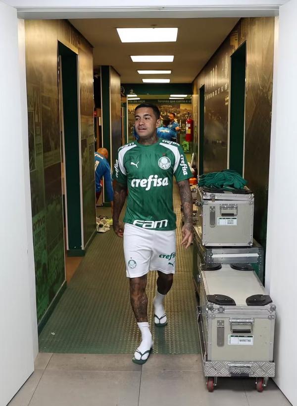 Dudu, do Palmeiras, no Allianz Parque.(Imagem:Cesar Greco)