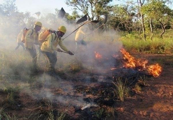 A grande maioria das queimadas é causada por ações humanas e o mínimo descuido em uma atividade rotineira pode ser fatal.(Imagem:Divulgação)