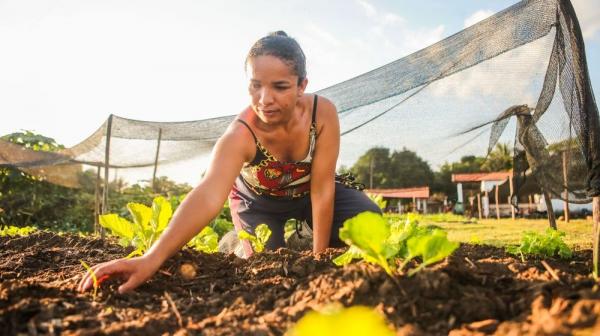 Agricultores familiares do semiárido podem se inscrever no edital que vai selecionar 170 propostas e disponibilizar até R$ 400 mil para cada projeto.(Imagem:Geirlys Silva)