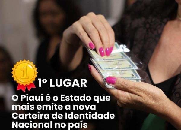 A meta é que, até julho deste ano, a cada cinco piauienses, um esteja com a nova carteira de identidade.(Imagem:Divulgação)