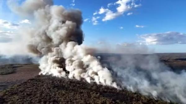 incêndio atinge área de mata em Cocal dos Alves, próximo à divisa com Ceará.(Imagem:TV Clube)