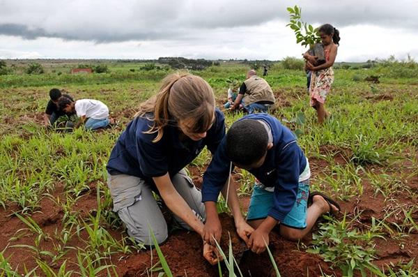 Estudantes participam de mutirão de plantio de mudas de espécies do Cerrado em Planaltina (DF)(Imagem:Tony Winston/Agência Brasília)