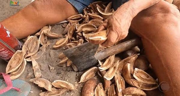 Quebradeiras de coco babaçu produzem azeite vendido há gerações em Barras (Imagem:Jairo Silva/TV Clube)