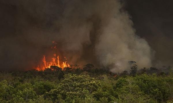 Decisão acontece em meio a uma onda de queimadas pelo país nas últimas semanas.(Imagem:Marcelo Camargo/Agência Brasil)