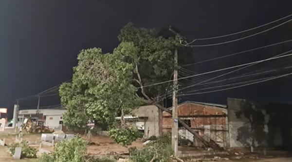 Após chuva, árvores caem sobre rede elétrica e provocam falhas de energia em Teresina(Imagem:Divulgação/Equatorial Piauí)