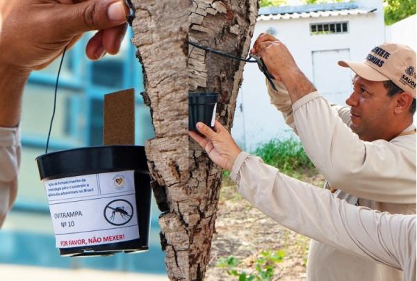 Prefeitura de Floriano amplia vigilância contra o Aedes aegypti com uso de ovitrampas