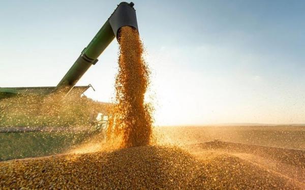 Valor da produção agrícola do Piauí registra crescimento superior a 380%