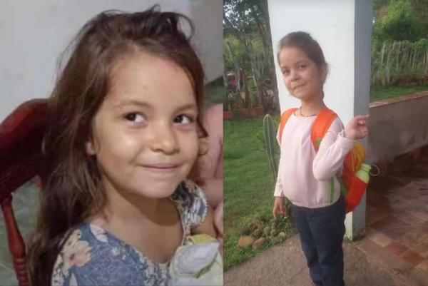 Menina de 8 anos morre e mãe fica ferida em colisão entre moto e caminhão na BR-343, no Piauí