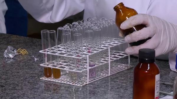  Pesquisadoras do Piau&iacute; identificam no ip&ecirc; propriedades anti-inflamat&oacute;rias e anticancer&iacute;genas.(Imagem:Reprodu&ccedil;&atilde;o/TV Clube )