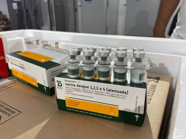 Piauí recebe primeiro lote da vacina contra a dengue para imunizar profissionais de saúde