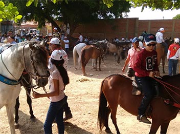 Cavalgada abre oficialmente a 65ª Expoapi em Teresina