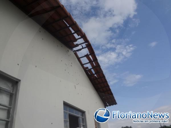 Estrutura do Centro de Controle de Zoonoses de Floriano &eacute; prec&aacute;ria.(Imagem:FlorianoNews)