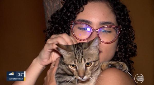 Jovem supera luto com ajuda de gato e tatua animal de estimação para eternizar o laço