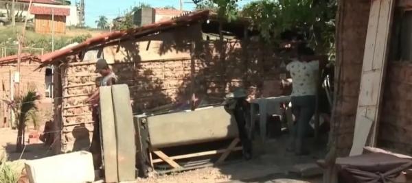  Desempregada planta feij&atilde;o e ab&oacute;bora para poder comer em Teresina.(Imagem:Reprodu&ccedil;&atilde;o )