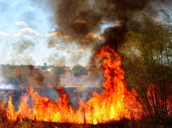 105 focos de calor foram registrados em Parnagu&aacute;.(Imagem:Cl&oacute;vis Cruvinel/ Acervo pessoal)
