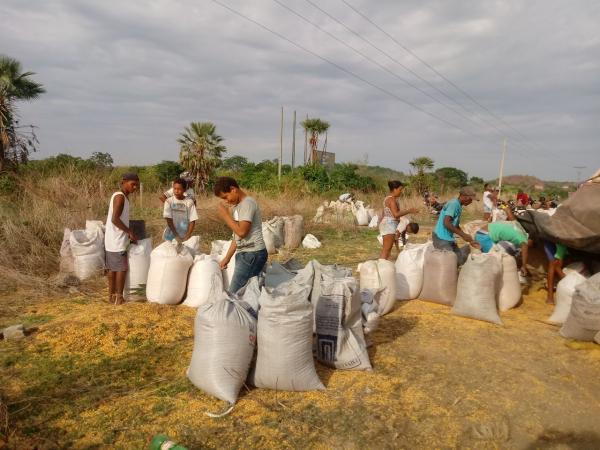 Carreta carregada de milho tomba e carga &eacute; saqueada na localidade Paracaty(Imagem:FlorianoNews)