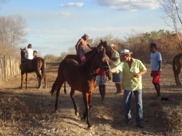 Realizada a 15&ordf; Festa do Vaqueiro no povoado L3. (Imagem:FlorianoNews)