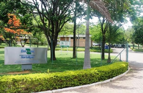 Embrapa abrirá concurso público pela 1ª vez após 15 anos