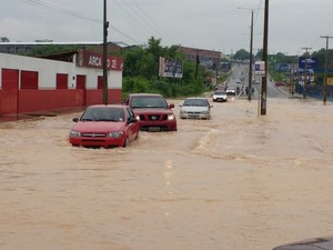 Alagamentos e árvore caída criam caos em Teresina após chuvas