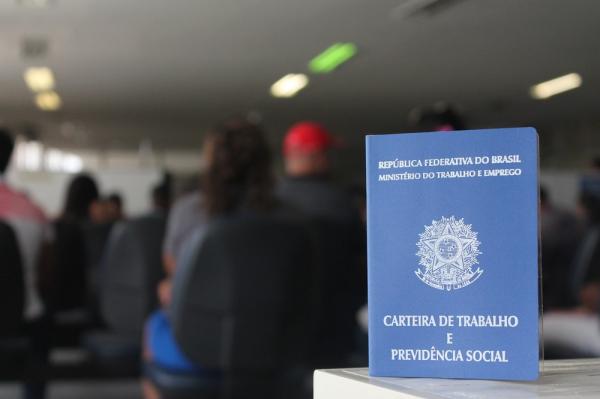 Cidades da região de Campinas têm 228 vagas de emprego abertas nesta segunda; veja lista