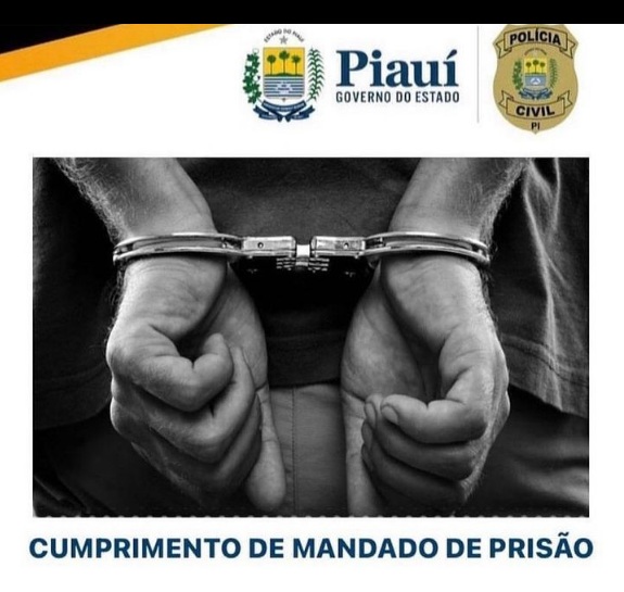 Polícia Civil de Floriano cumpre mandado de prisão em operação conjunta
