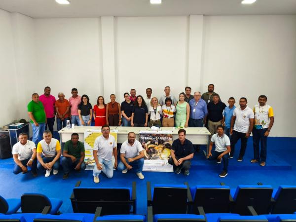 Piauí fortalece apicultura com tecnologia climática e mantém o segundo lugar na produção de mel