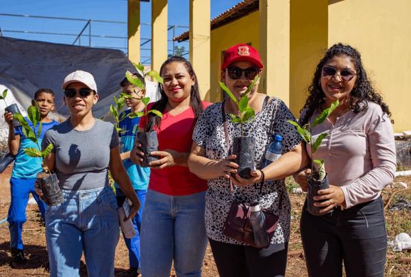 As mudas, frut&iacute;feras ou nativas, est&atilde;o sendo distribu&iacute;das gratuitamente pela Secretaria de Meio Ambiente e Recursos H&iacute;dricos (Semarh)(Imagem:Ascom Semarh)
