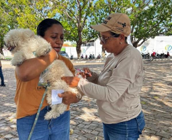 Programa "Meu Amigo Pet" leva serviços de saúde animal e ações ambientais ao bairro Manguinha