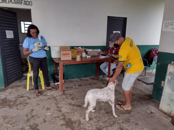 Iniciada a campanha de vacinação antirrábica em Floriano