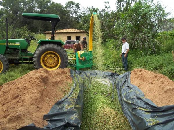 Secretaria de Desenvolvimento Rural realiza dia de campo sobre confec&ccedil;&atilde;o de silagem.(Imagem:Assessoria de Comunica&ccedil;&atilde;o)