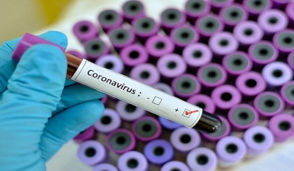 Piauí registra mais 598 casos e se aproxima das 6 mil mortes pela Covid-19